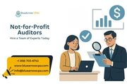 Not for Profit Auditors | BAI en San Diego