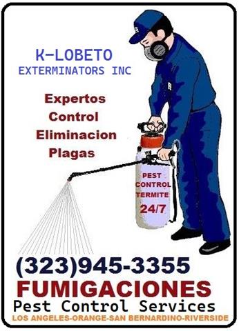 PEST CONTROL SERVICES 24/7.- image 4