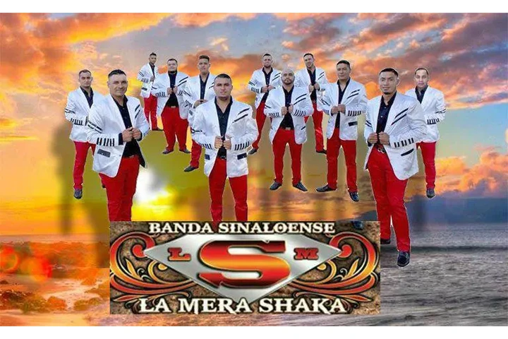 Banda sinaloense image 1