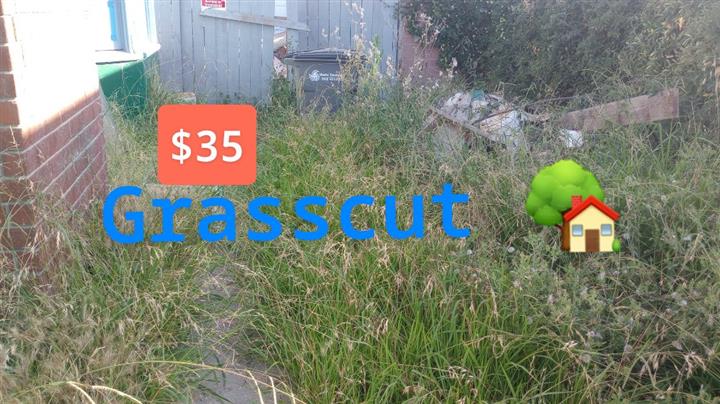 Grasscut 🌿👷🏻🏡 $35 image 3
