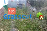 Grasscut 🌿👷🏻🏡 $35 thumbnail