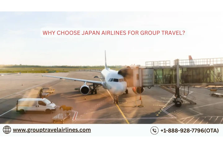 JAL Group Travel image 1