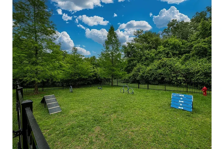 $1300 : Standard 1bd and 1 bathroom image 9