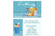 Ross cleaning en Miami