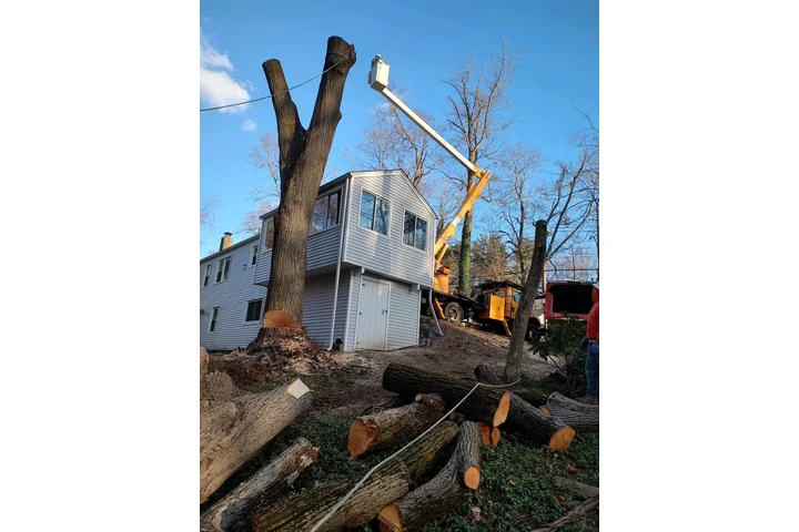 Pinesbridge Tree Service INC image 2