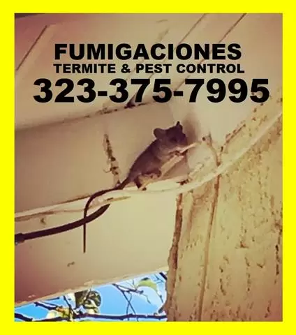 PEST CONTROL - TODO EN PLAGAS image 4