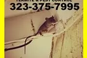 PEST CONTROL - TODO EN PLAGAS thumbnail