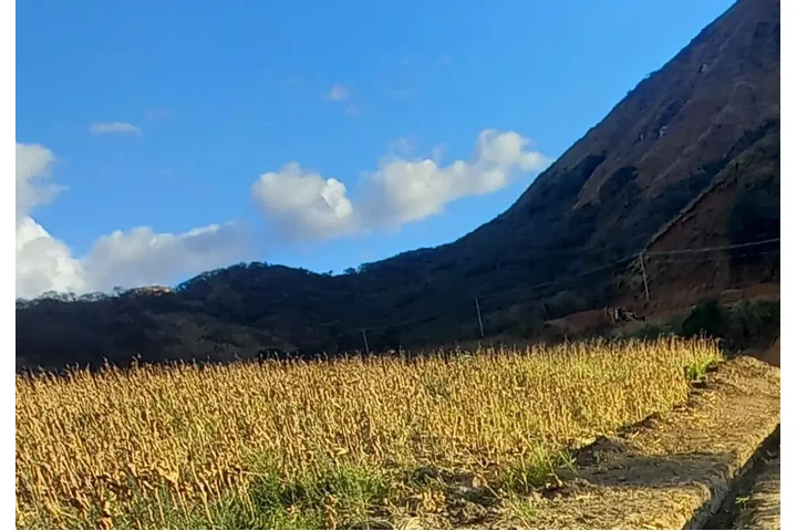 $65000 : VENDO BARATO En Vilcabamba Loj image 3