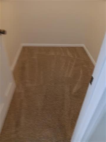 Dominguez Carpet Cleaning image 4