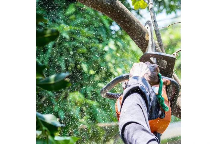 JR Landscaping image 5