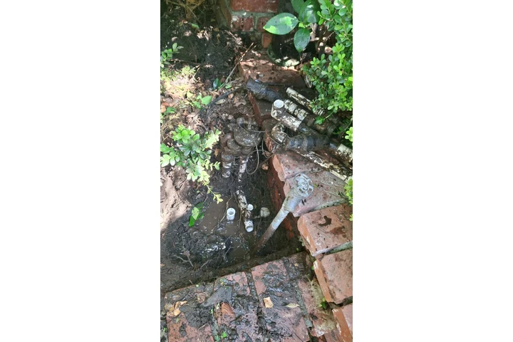 California Gardening image 2