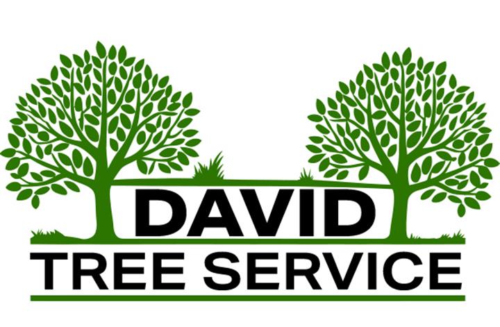 David Tree Service image 1