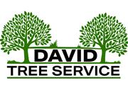 David Tree Service