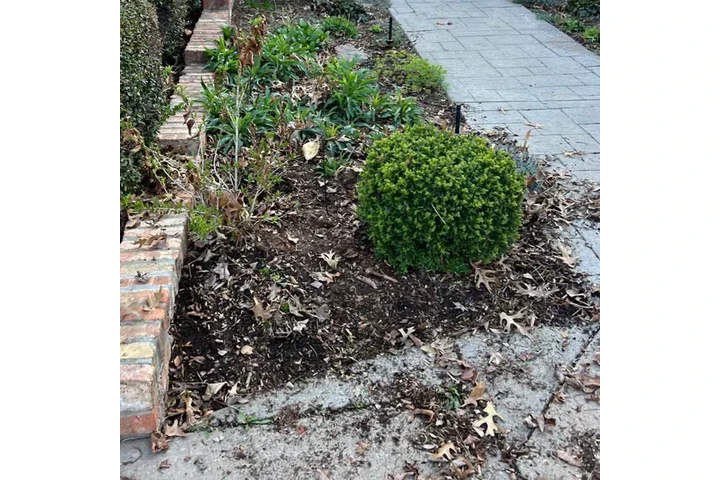 Landscaping Services image 6