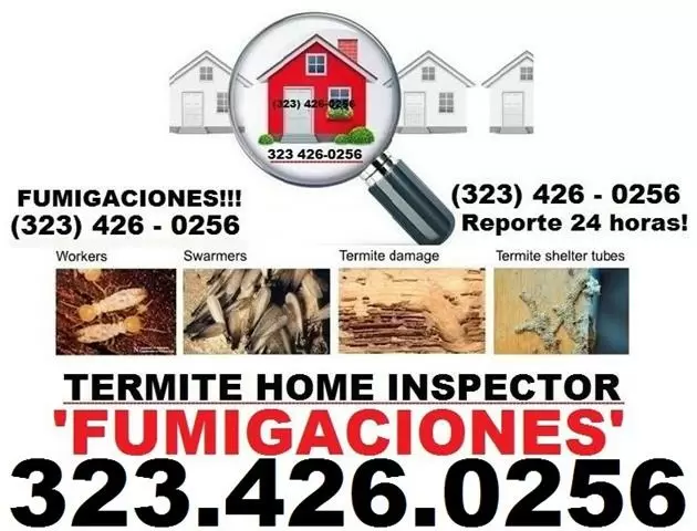 FUMIGACIONES-LOCAL TRATAMIENTO image 3