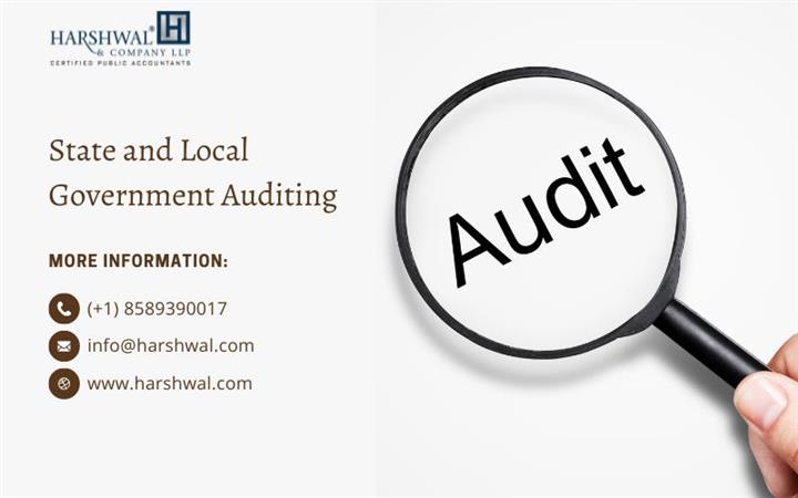 State & Local Government Audit image 1