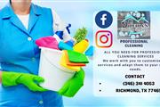Dilenia'S Cleaning Services