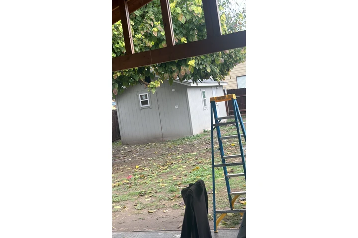 $1300 : Rento estudio image 1