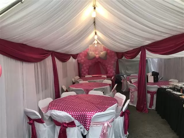 Carpas 30x30,30x40 decoradas image 3