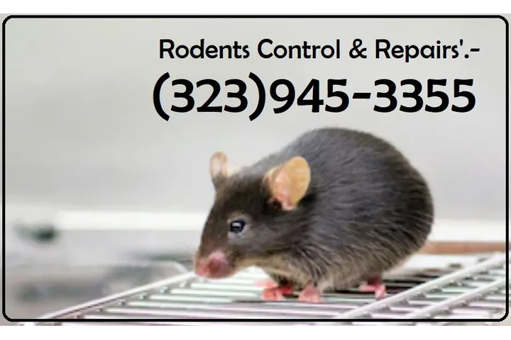 24/7 Rodent's Control-Repairs. image 5