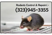 24/7 Rodent's Control-Repairs. thumbnail
