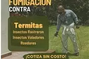 TERMITE SERVICES NEAR ME 24/7. en Los Angeles