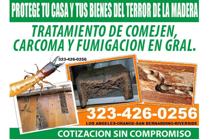 FUMIGACION TERMITAS 24/7 image 7