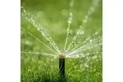 CANALEZ GARDENING SERVICES thumbnail