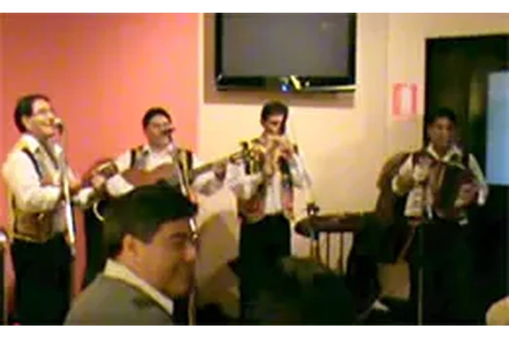 CONTRATAR CONJUNTOS MUSICALES image 3