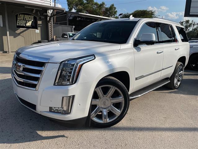 2020 Escalade Luxury image 1