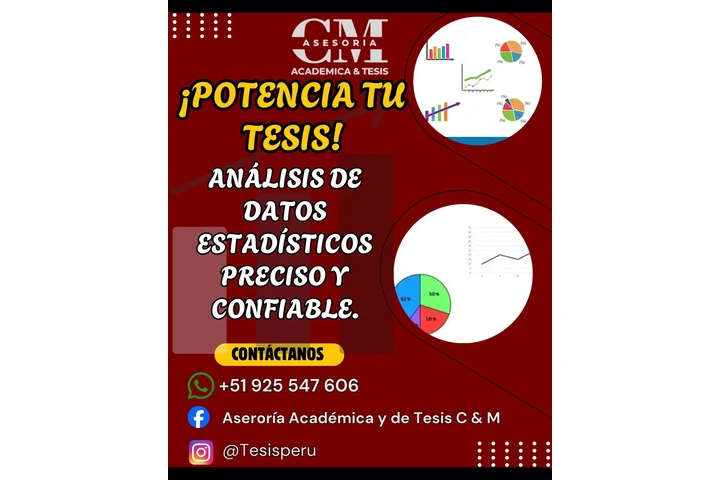 Asesoría Académica y de Tesis image 4