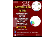 Asesoría Académica y de Tesis thumbnail
