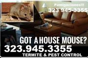 PEST CONTROL 24-7 EXTERMINATOR thumbnail