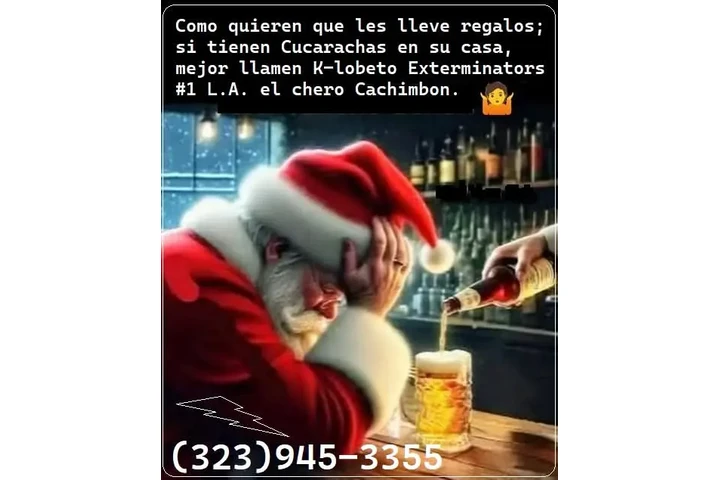 Fumigaciones Navideñas 2025.- image 10