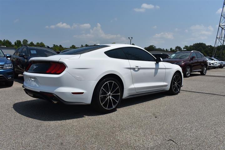 2020 Mustang EcoBoost image 8