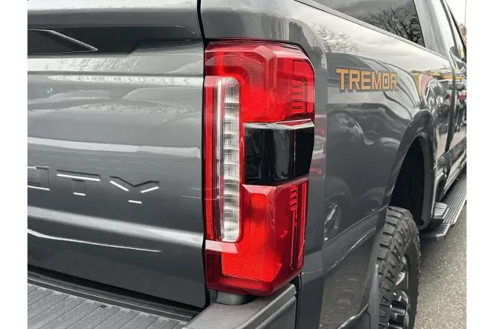 Ford F-250 Super Duty 2023 4 image 3