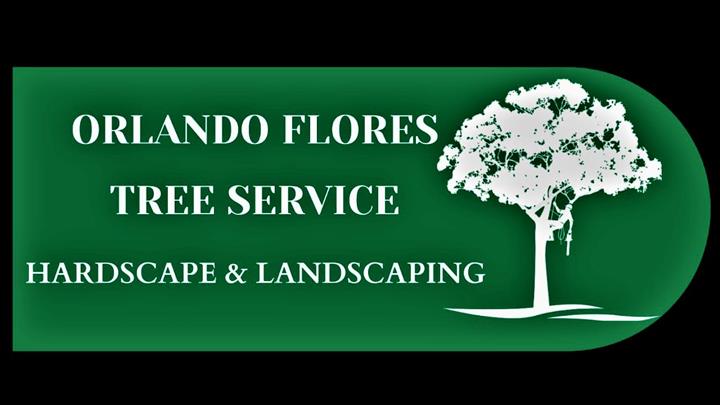 Orlando Flores Tree Services image 1