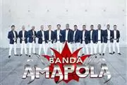 BANDA AMAPOLA 323 303 8484 thumbnail