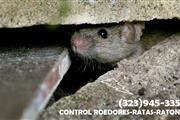 ROEDORES-RATAS-RATONES CONTROL thumbnail