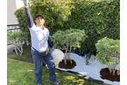 Moisés landscaping services