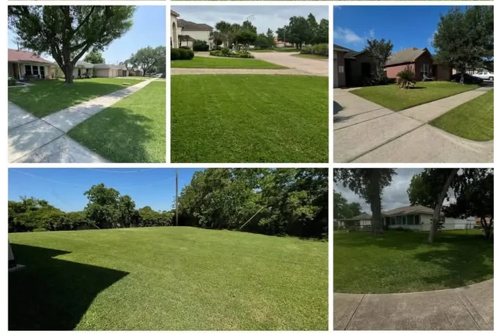 LANDSCAPING AND LANW CARE. image 2