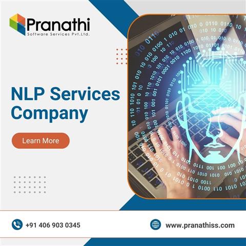 NLP Services Company image 1