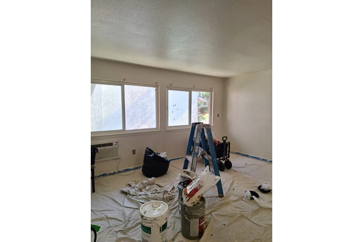 HANDYMAN BFS image 8