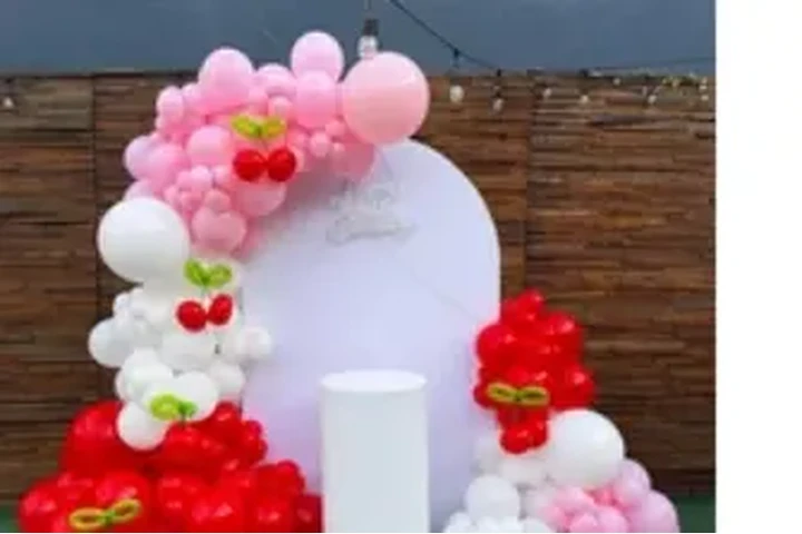 HACEMOS DRAPED image 2