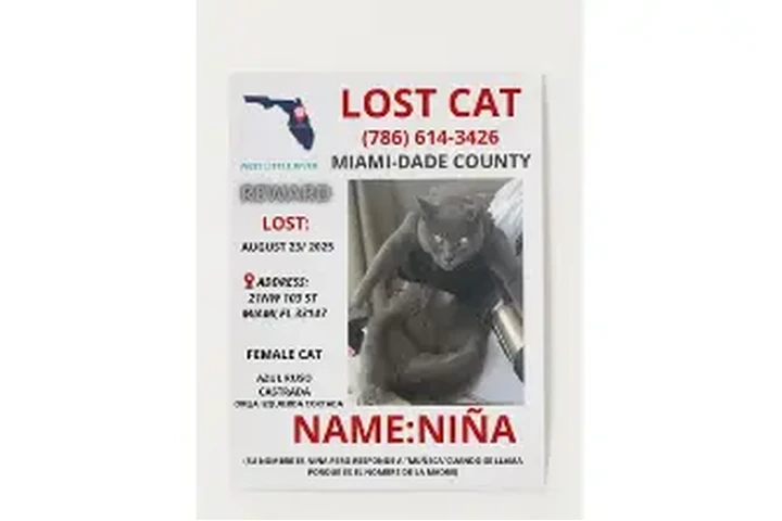 Diseño Gráfico image 5