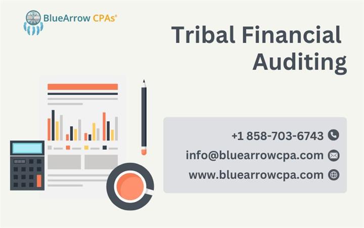 Tribal Financial Auditing image 1