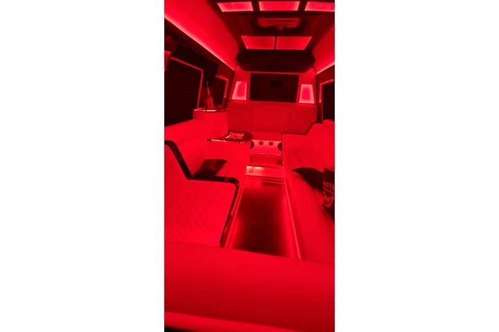 Sprinter de lujo, party bus, image 4