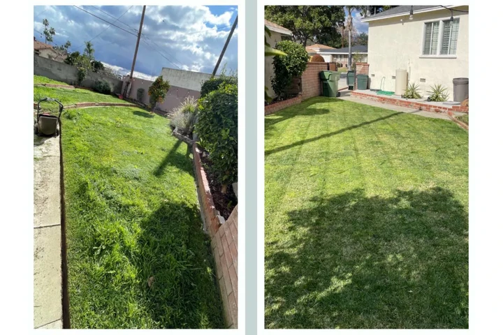 Corte de pasto 🏡$35 image 5