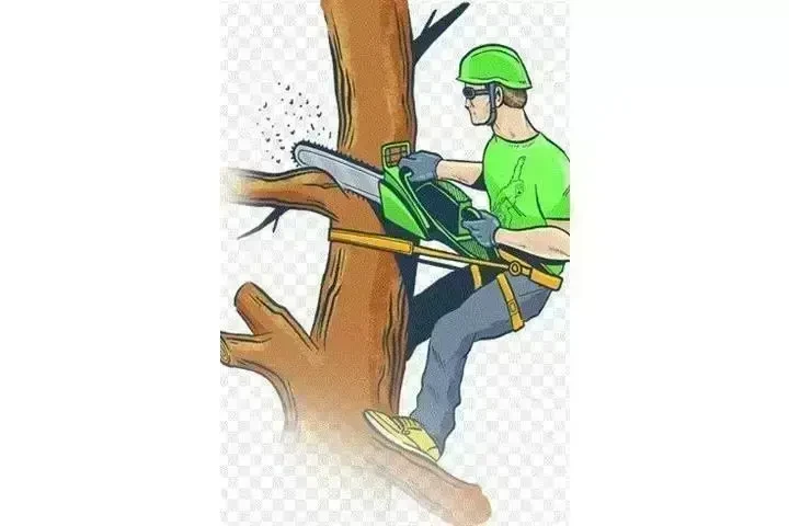 🌳TRIMMERS/PODADORES📍La Habra image 2