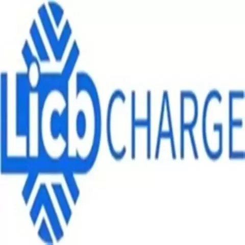 China LiCB AC DC EV Charger Co image 1